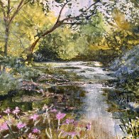 Down a Lazy River 1.JPG