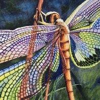 Dragonfly.jpg