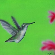 That's a Winger.jpeg