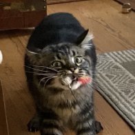 image_123650291 (3).JPG