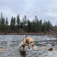 image_123650291 (4).JPG