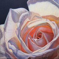 Sunlight Rose Final.jpg