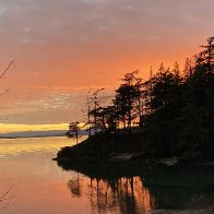 image_123650291 (5).JPG