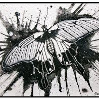 Butterfly B&W.jpg