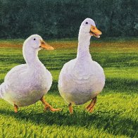 Pekings for Dinner.jpg