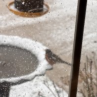 Last Snow of Winter, I Think.JPG