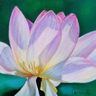 Petals of Quiet Light.jpg