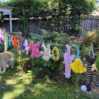 Dog toys wash day.jpg