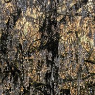 Proudly Wearing An Autumn Fashion Into The Spring.jpg