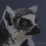 Lemur, Pastelmat, 21x17 cm, Rev. Monique2 PMP.jpg