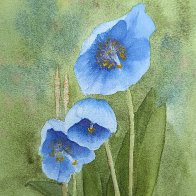 Blue Poppies 032226.jpg