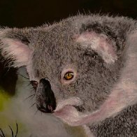 20260323_073228 (1).jpg-F.jpg12.jpgcc.jpg