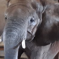 2019 Bishop JRay (466).jpg