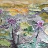 waterlilies