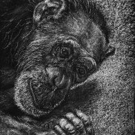 Closer to Sunset-s.JPG