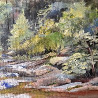 Meandering Creek.JPG