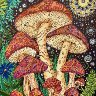 Fungi Fantasy
