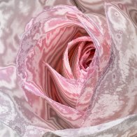 Rose-Coloured Rose filter1.jpg