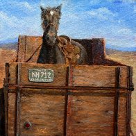 Patonio Goes For a Ride.JPG