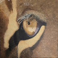 Cat's Eye Painting.jpg