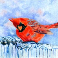 cardinal.jpg