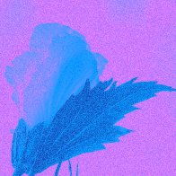 After The Rain filter2.jpg