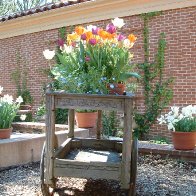 FILOLI Flower cart.jpg