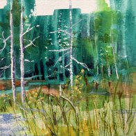 Entering the Glade.JPG