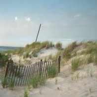 101image1-Grains of Sand.JPG