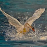 20260419_08243ii6 (1).jpgytr.jpgftt.jpgghk.jpgii.jpgkkk.jpg