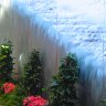 Flowers and Falls
