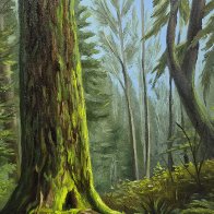 mossy tree.jpg