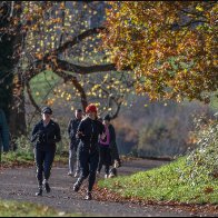 Autumn in the park 2 halved..jpg
