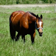 PMP Pic of Month.JPG