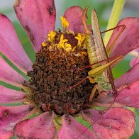 PXL_20251003_160800858 (1).jpg