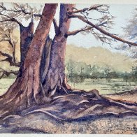 2026-0426 Trees, Rio Guadalupe, Texas, USA.jpg