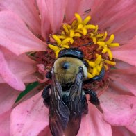 PXL_20250903_162135423 (1).jpg