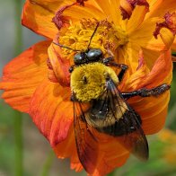 PXL_20250906_181440497~2 (1).jpg