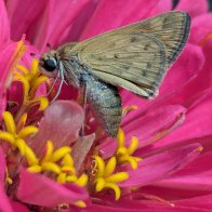 PXL_20250906_181411601 (1).jpg