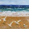 Seagull