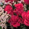 0b0956db-58c9-49df-8a55-5cfe4791c673