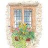 Watercolour window scene