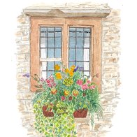 Watercolour window scene May 5 2026.jpg