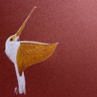 IMG_7192.jpeg