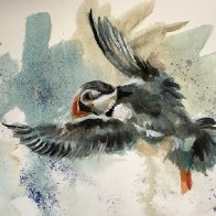 puffin1.jpg