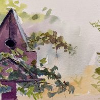 Bird Delight.JPG