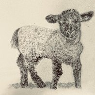 IMG_6939.jpeg
