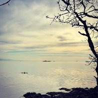 IMG_0547.JPG