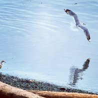 IMG_0546.JPG