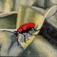 Minimal - Beetle.jpeg